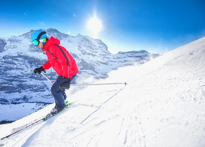 Attika Allod Park Haus C 801 By Interhome Ostrava