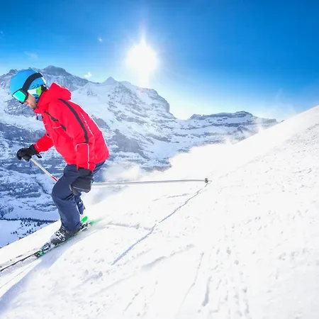 Attika Allod Park Haus C 801 By Interhome דאבוס